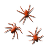 Web Site Design and Animations